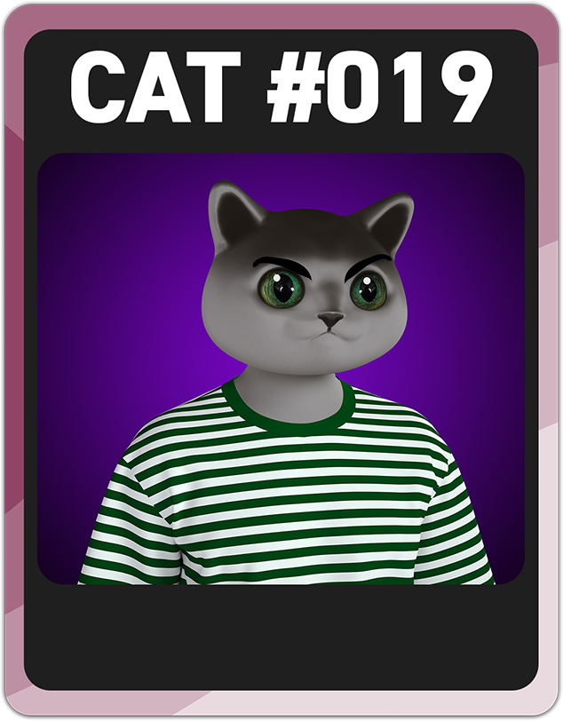 cat number 19